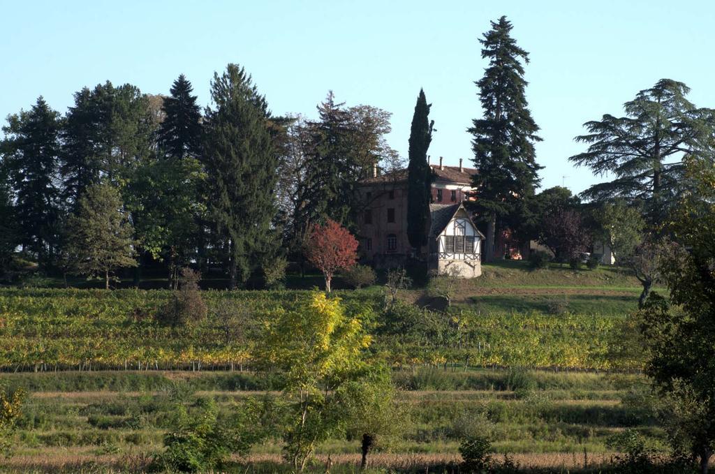 הוילה Cividale del Friuli Casali Del Picchio - Winery מראה חיצוני תמונה