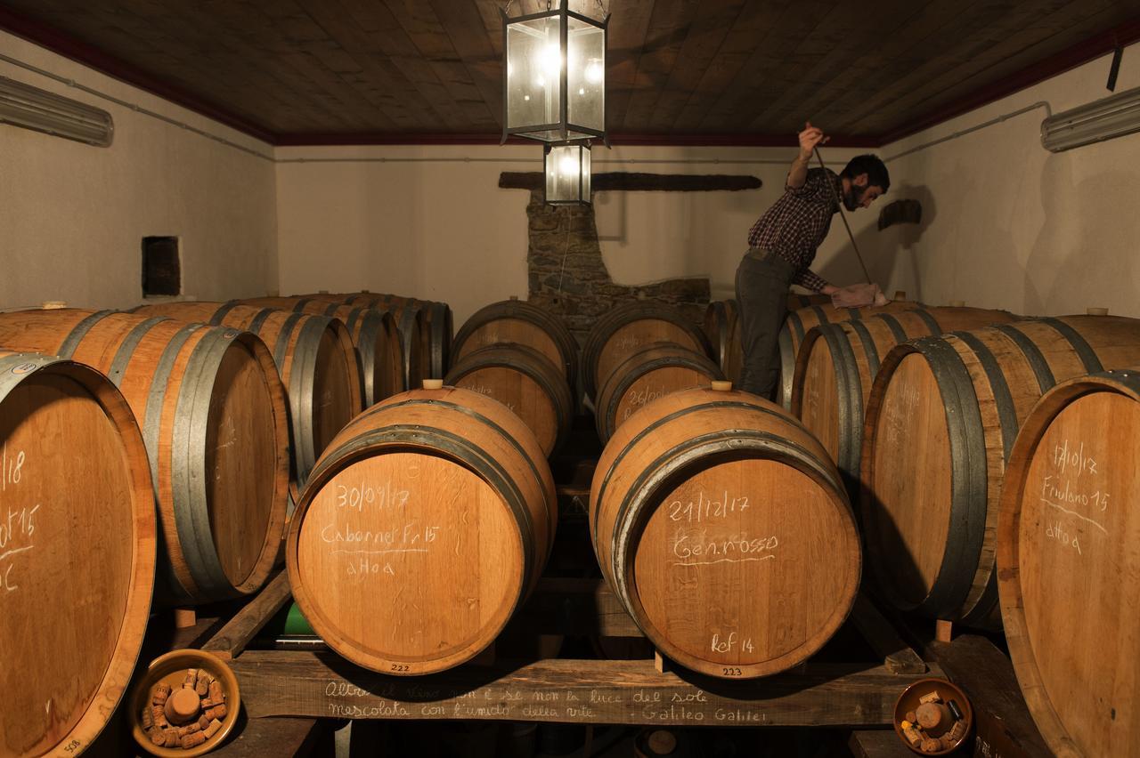 הוילה Cividale del Friuli Casali Del Picchio - Winery מראה חיצוני תמונה